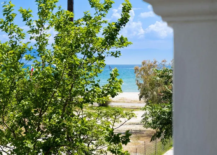 Iole Πόντι